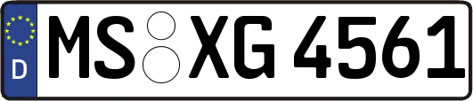 MS-XG4561