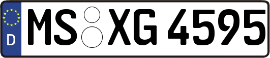 MS-XG4595
