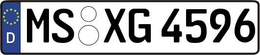 MS-XG4596