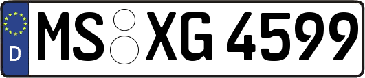 MS-XG4599