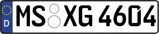 MS-XG4604