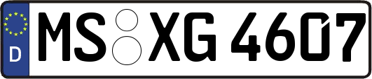 MS-XG4607
