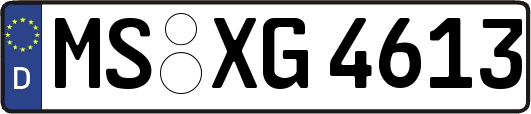 MS-XG4613