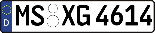 MS-XG4614