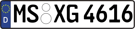 MS-XG4616