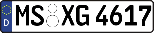 MS-XG4617