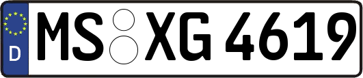 MS-XG4619