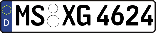 MS-XG4624
