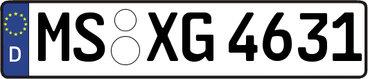 MS-XG4631