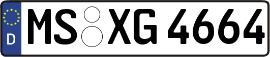 MS-XG4664