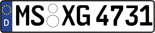 MS-XG4731