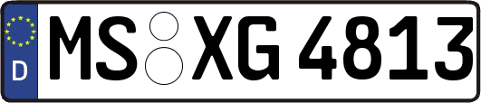 MS-XG4813