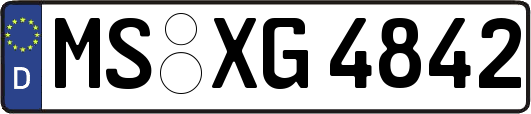 MS-XG4842