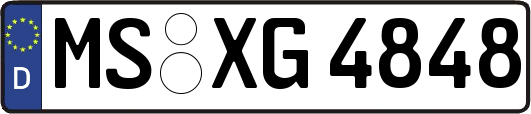 MS-XG4848