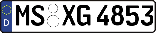 MS-XG4853
