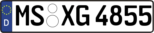MS-XG4855