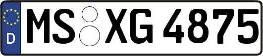 MS-XG4875