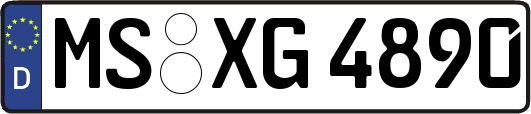 MS-XG4890