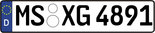 MS-XG4891