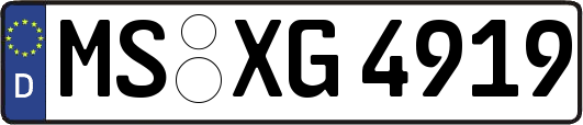 MS-XG4919