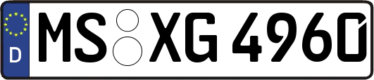 MS-XG4960
