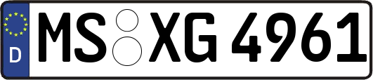 MS-XG4961