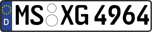 MS-XG4964