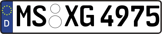 MS-XG4975