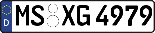 MS-XG4979