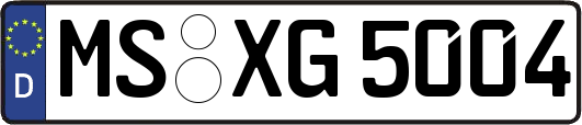 MS-XG5004