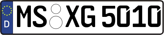 MS-XG5010