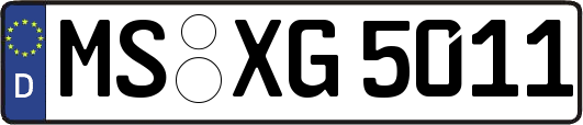 MS-XG5011