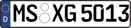 MS-XG5013