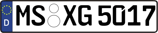 MS-XG5017