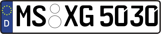 MS-XG5030