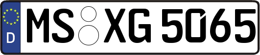 MS-XG5065