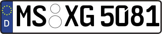 MS-XG5081