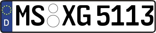 MS-XG5113