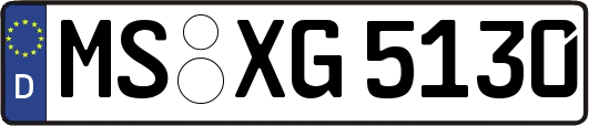 MS-XG5130