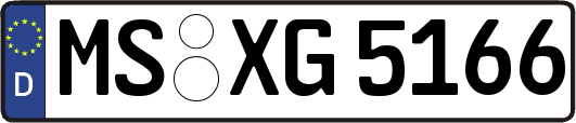 MS-XG5166