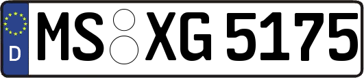 MS-XG5175