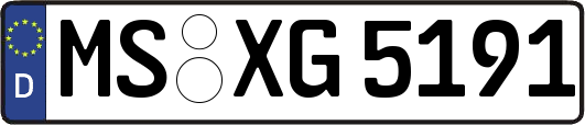 MS-XG5191