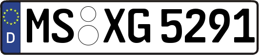 MS-XG5291