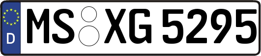 MS-XG5295
