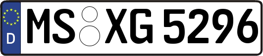 MS-XG5296