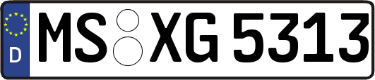 MS-XG5313