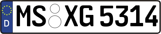MS-XG5314