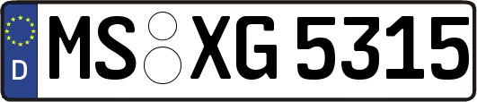 MS-XG5315
