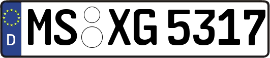 MS-XG5317