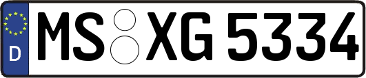 MS-XG5334